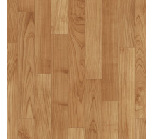 Линолеум Terrana Top Extra 4121-260/3 м