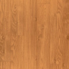 Линолеум Terrana 22 4120-258/4 м