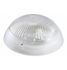 Светильник НПП 03-60-010.01 У3 "Сириус" (SAN-пластик) - TM TDM