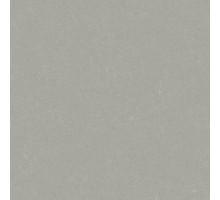 Линолеум Silver Khight Acoustic 7  455-856-275/ 2 м