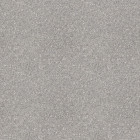 Линолеум Sirius SONATA 5 /4,0 м
